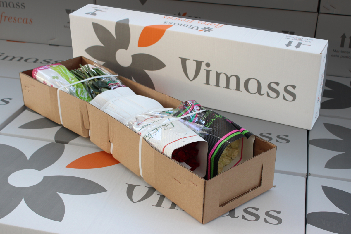 VIMASS - Pack découverte 100 roses à 79€-HT
