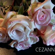 CEZANNE