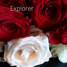 Explorer-vendella-mondial