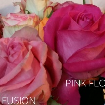 FUSION et PINK FLOYD