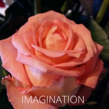 IMAGINATION3