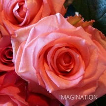 IMAGINATION4