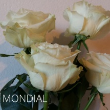 MONDIAL2