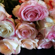 Mix bicolor clair
