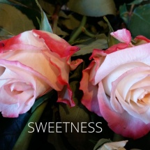 SWEETNESS