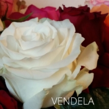 VENDELA