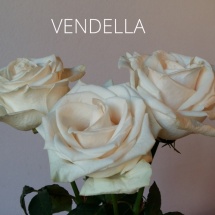 VENDELLA