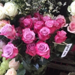 Présentation roses Equateur - Jérôme Naulet (1)