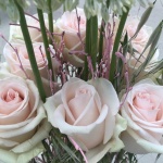 Présentation roses Equateur - Jérôme Naulet (19)