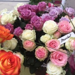 Présentation roses Equateur - Jérôme Naulet (23)