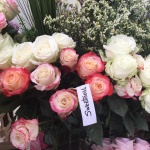 Présentation roses Equateur - Jérôme Naulet (24)