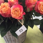 Présentation roses Equateur - Jérôme Naulet (4)