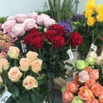 Présentation roses Equateur - Jérôme Naulet (8)